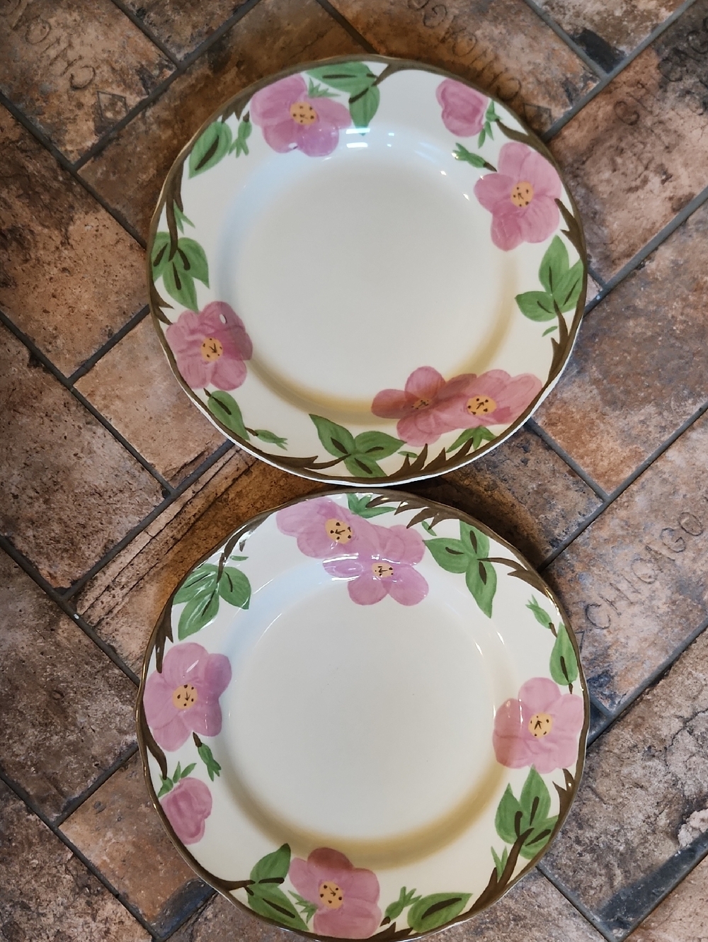 Franciscan Desert Rose Dinner Plates Set Of 2
